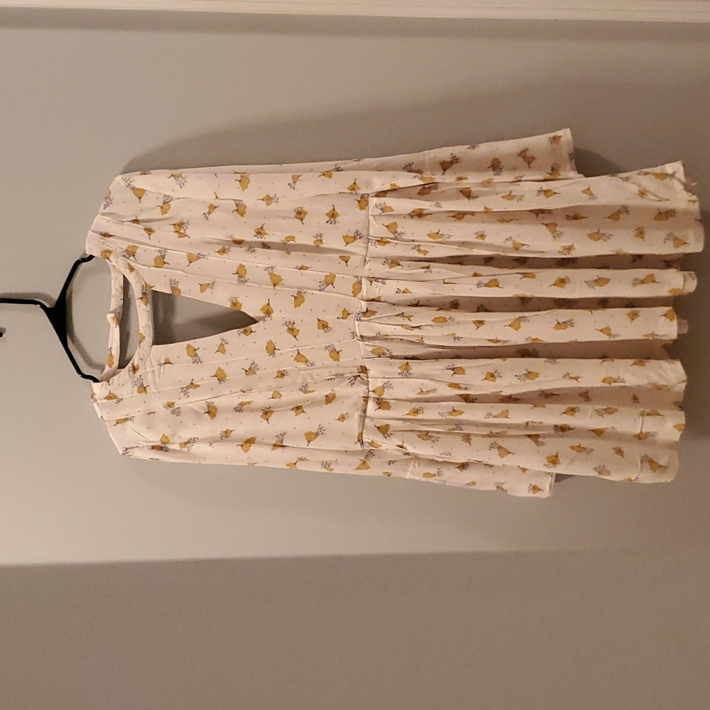 Free people dress